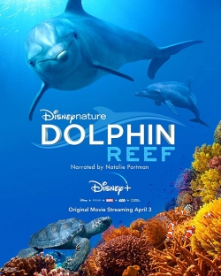 Watch Dolphin Reef free movies