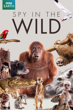 Watch Spy in the Wild free movies