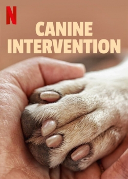 Watch Canine Intervention free movies