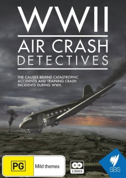 Watch WWII Air Crash Detectives free movies