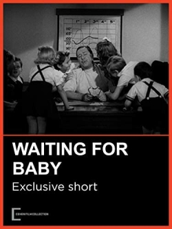 Watch Waiting for Baby free movies