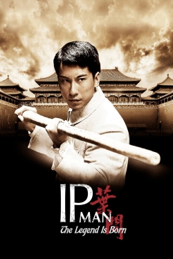 Watch The Legend Is Born: Ip Man free movies