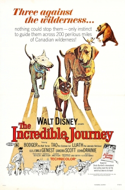 Watch The Incredible Journey free movies