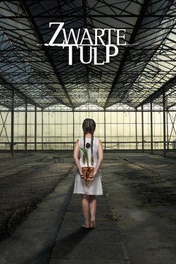 Watch Black Tulip free movies