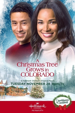 Watch A Christmas Tree Grows in Colorado free movies