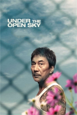 Watch Under the Open Sky free movies