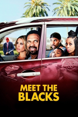 Watch Meet the Blacks free movies