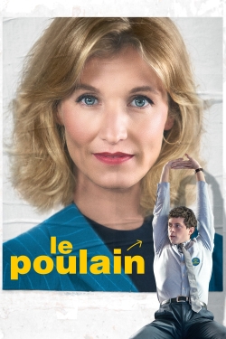 Watch Le Poulain free movies