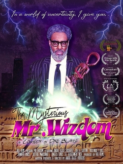 Watch The Mysterious Mr. Wizdom free movies