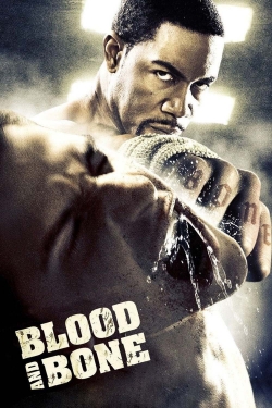 Watch Blood and Bone free movies