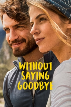 Watch Without Saying Goodbye free movies