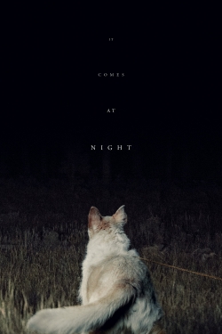 Watch It Comes at Night free movies