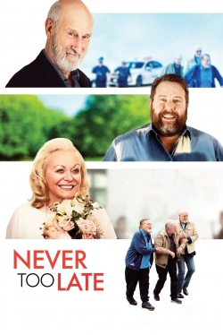 Watch Never Too Late free movies