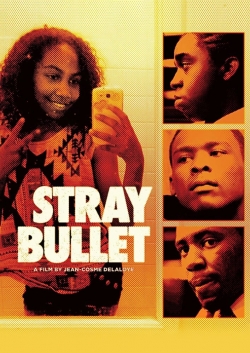 Watch Stray Bullet free movies