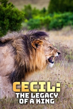 Watch Cecil: The Legacy of a King free movies