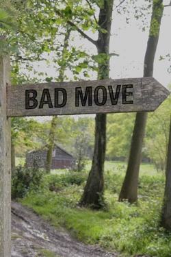 Watch Bad Move free movies