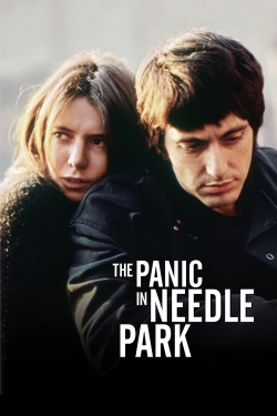 Watch The Panic in Needle Park free movies