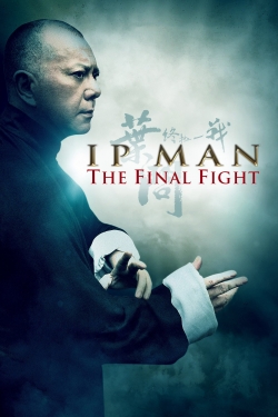 Watch Ip Man: The Final Fight free movies