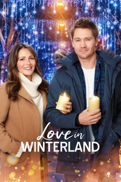 Watch Love in Winterland free movies