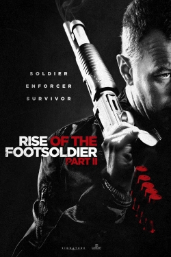 Watch Rise of the Footsoldier Part II free movies