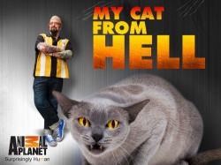 Watch My Cat from Hell free movies