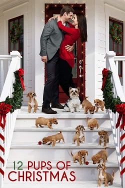 Watch 12 Pups of Christmas free movies