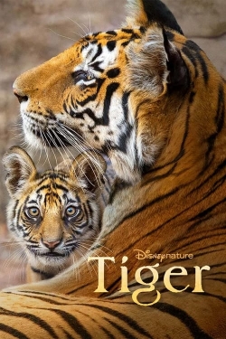 Watch Tiger free movies