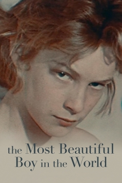 Watch The Most Beautiful Boy in the World free movies