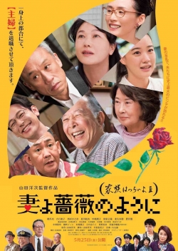 Watch What a Wonderful Family! 3: My Wife, My Life free movies