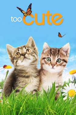 Watch Too Cute free movies