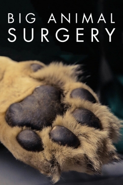 Watch Big Animal Surgery free movies