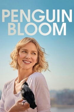 Watch Penguin Bloom free movies