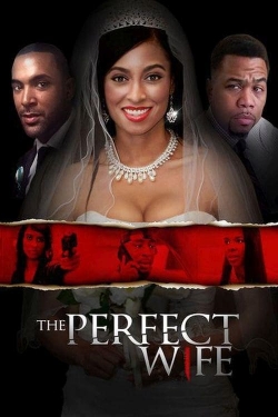 Watch The Perfect Wife free movies