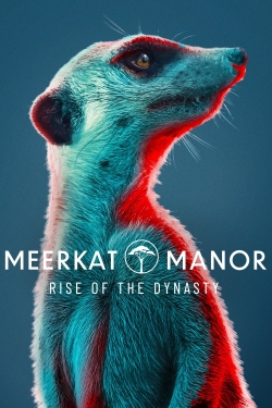 Watch Meerkat Manor: Rise of the Dynasty free movies