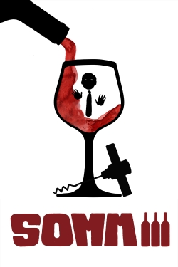 Watch Somm 3 free movies