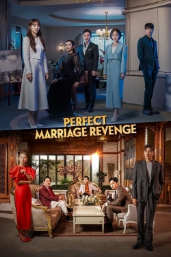 Watch Perfect Marriage Revenge free movies