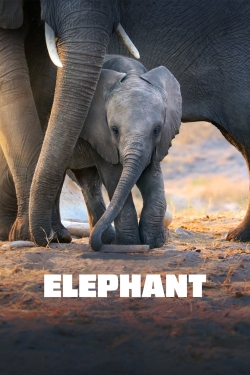 Watch Elephant free movies