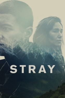 Watch Stray free movies