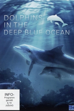 Watch Dolphins in the Deep Blue Ocean free movies