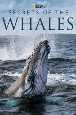 Watch Secrets of the Whales free movies