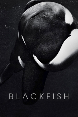 Watch Blackfish free movies