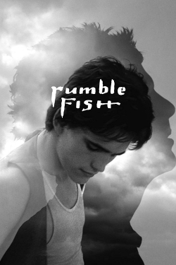 Watch Rumble Fish free movies