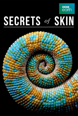 Watch Secrets of Skin free movies