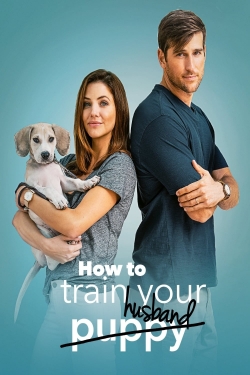 Watch How to Train Your Husband free movies