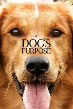 Watch A Dog's Purpose free movies