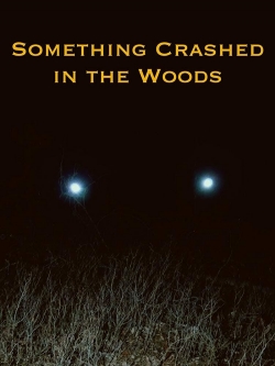 Watch Something Crashed in the Woods free movies