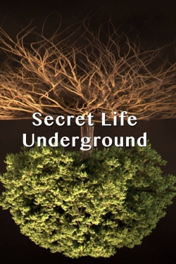 Watch Secret Life Underground free movies