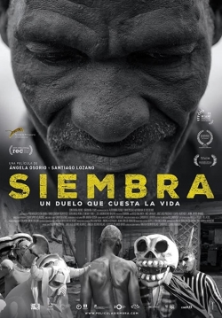 Watch Siembra free movies