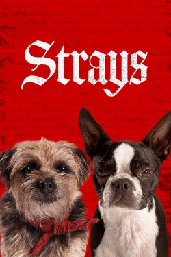 Watch Strays free movies