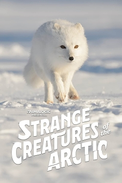 Watch Strange Creatures of the Arctic free movies